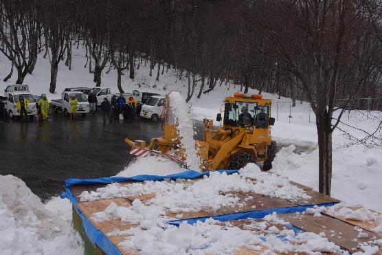 除雪車を使いりんごを雪で覆う様子