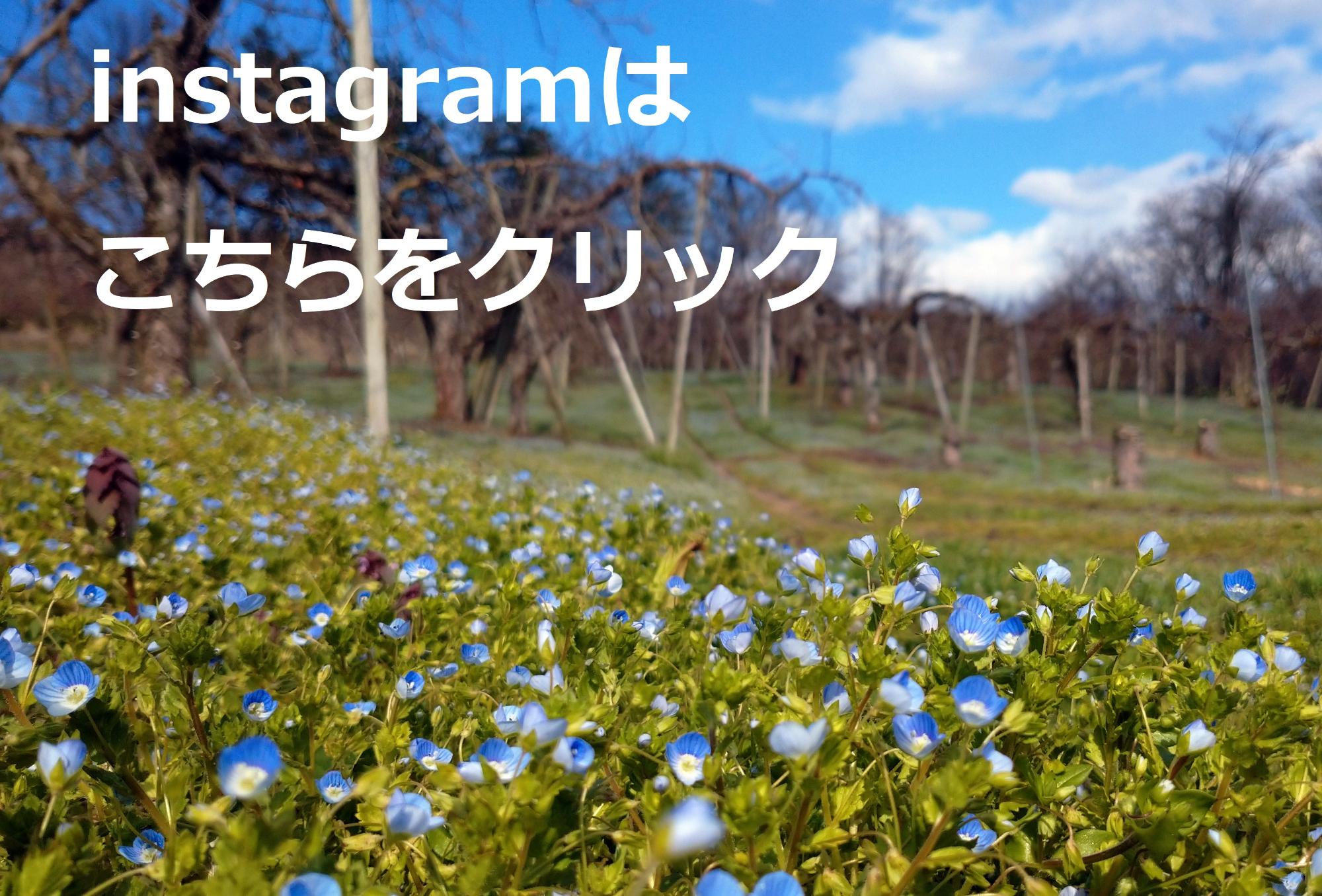 あさひりんごの郷協議会insta