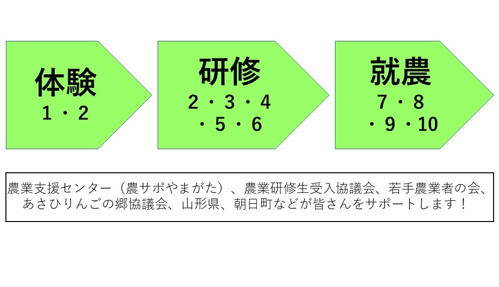 新規就農者への支援