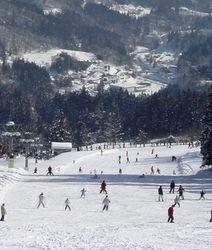 朝日自然観スキー場開き：ゲレンデを滑る人々の写真