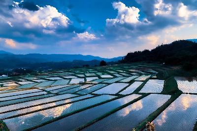 Satoyamaフォトコン棚田の写真