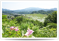 里山